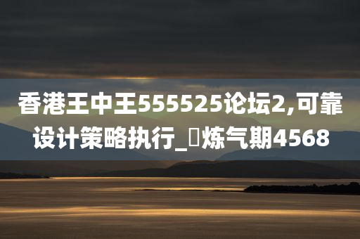 香港王中王555525论坛2,可靠设计策略执行_‌炼气期4568