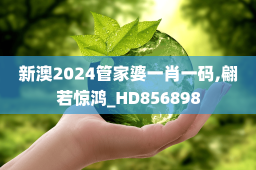 新澳2024管家婆一肖一码,翩若惊鸿_HD856898