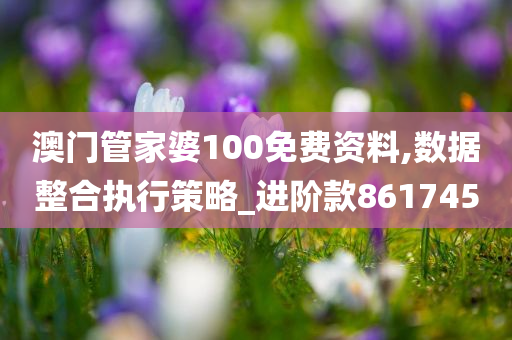 澳门管家婆100免费资料,数据整合执行策略_进阶款861745