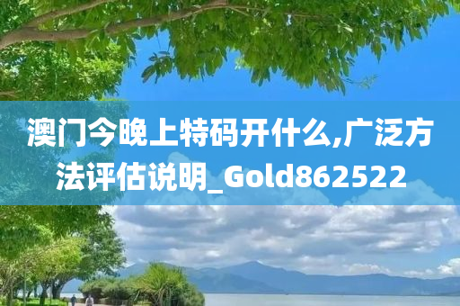 澳门今晚上特码开什么,广泛方法评估说明_Gold862522