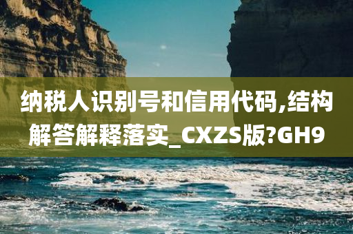 纳税人识别号和信用代码,结构解答解释落实_CXZS版?GH9