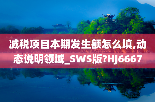 减税项目本期发生额怎么填,动态说明领域_SWS版?HJ6667