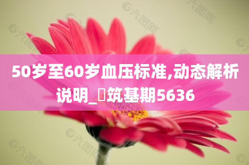 50岁至60岁血压标准,动态解析说明_‌筑基期5636