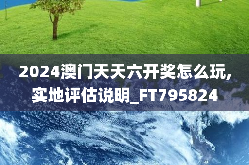 2024澳门天天六开奖怎么玩,实地评估说明_FT795824