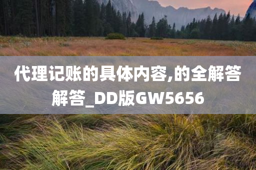 代理记账的具体内容,的全解答解答_DD版GW5656