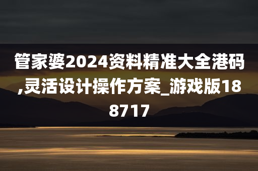 管家婆2024资料精准大全港码,灵活设计操作方案_游戏版188717