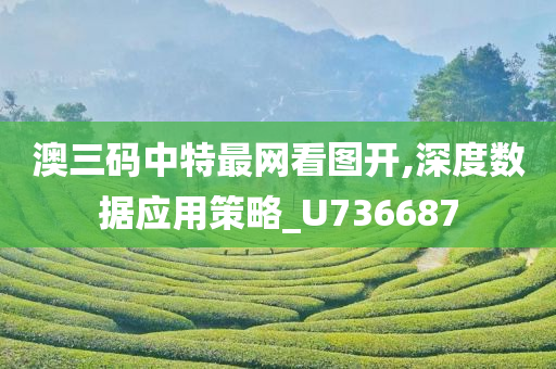 澳三码中特最网看图开,深度数据应用策略_U736687