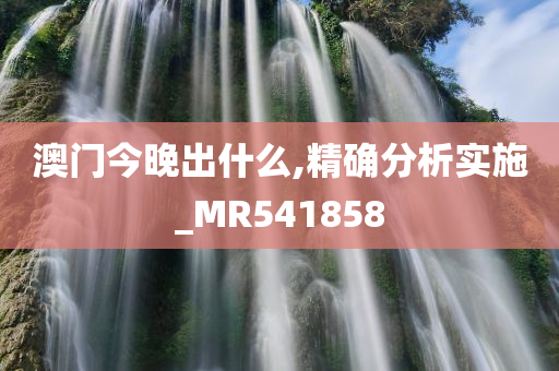 澳门今晚出什么,精确分析实施_MR541858