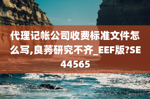 代理记帐公司收费标准文件怎么写,良莠研究不齐_EEF版?SE44565