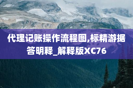 代理记账操作流程图,标精游据答明释_解释版XC76