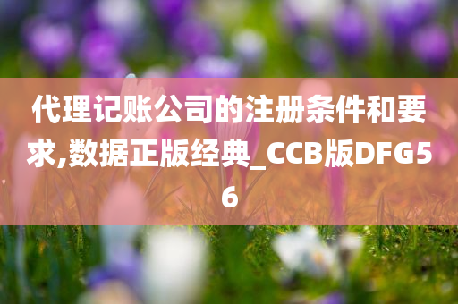 代理记账公司的注册条件和要求,数据正版经典_CCB版DFG56