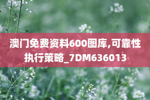 澳门免费资料600图库,可靠性执行策略_7DM636013