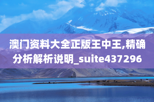 澳门资料大全正版王中王,精确分析解析说明_suite437296