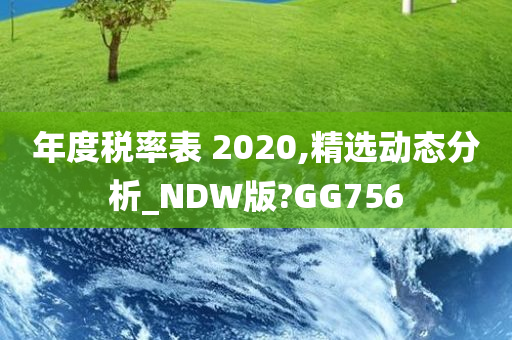 年度税率表 2020,精选动态分析_NDW版?GG756