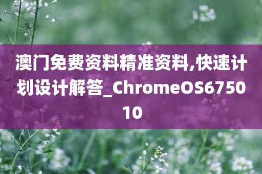 澳门免费资料精准资料,快速计划设计解答_ChromeOS675010