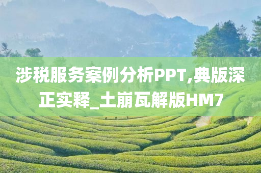 涉税服务案例分析PPT,典版深正实释_土崩瓦解版HM7