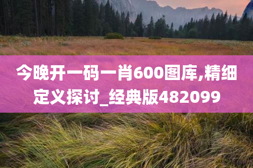 今晚开一码一肖600图库,精细定义探讨_经典版482099