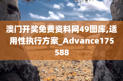 澳门开奖免费资料网49图库,适用性执行方案_Advance175588