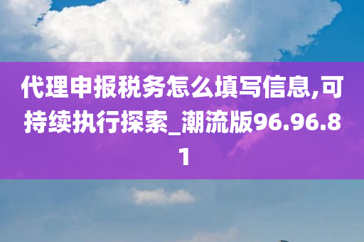 代理申报税务怎么填写信息,可持续执行探索_潮流版96.96.81