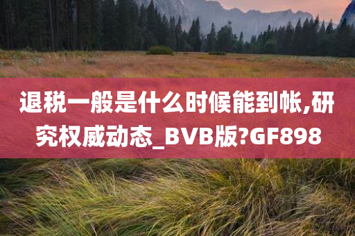 退税一般是什么时候能到帐,研究权威动态_BVB版?GF898