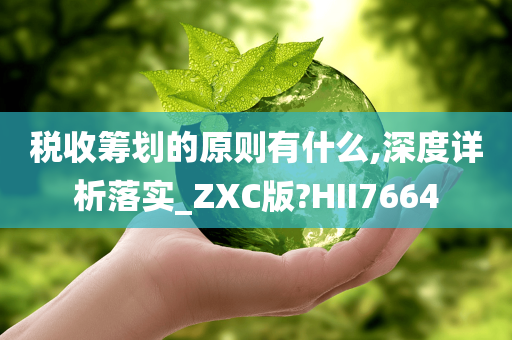 税收筹划的原则有什么,深度详析落实_ZXC版?HII7664