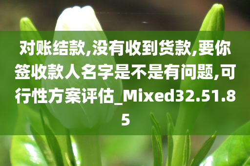 对账结款,没有收到货款,要你签收款人名字是不是有问题,可行性方案评估_Mixed32.51.85