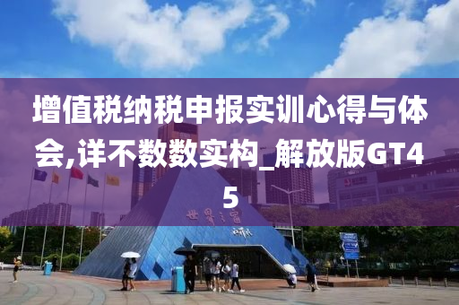 增值税纳税申报实训心得与体会,详不数数实构_解放版GT45