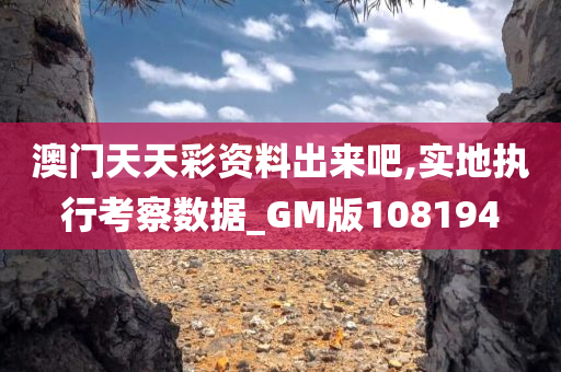 澳门天天彩资料出来吧,实地执行考察数据_GM版108194