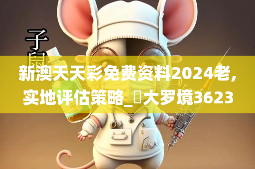 新澳天天彩免费资料2024老,实地评估策略_‌大罗境3623