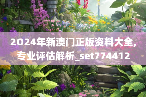 2O24年新澳门正版资料大全,专业评估解析_set774412