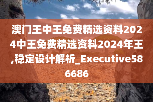 澳门王中王免费精选资料2024中王免费精选资料2024年王,稳定设计解析_Executive586686