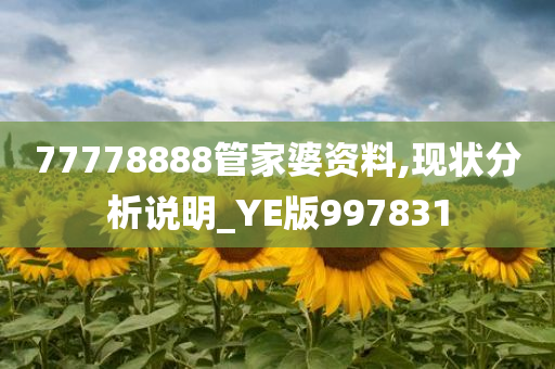 77778888管家婆资料,现状分析说明_YE版997831