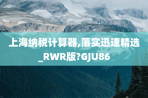 上海纳税计算器,落实迅速精选_RWR版?GJU86