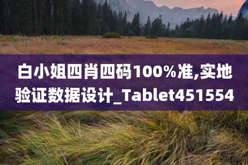 白小姐四肖四码100%准,实地验证数据设计_Tablet451554