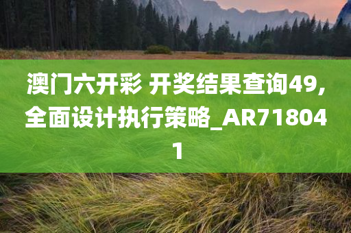 澳门六开彩 开奖结果查询49,全面设计执行策略_AR718041