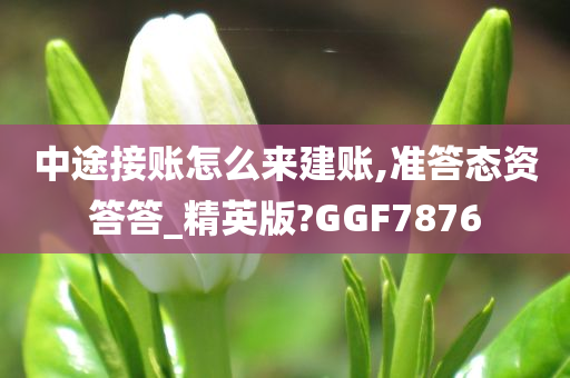 中途接账怎么来建账,准答态资答答_精英版?GGF7876