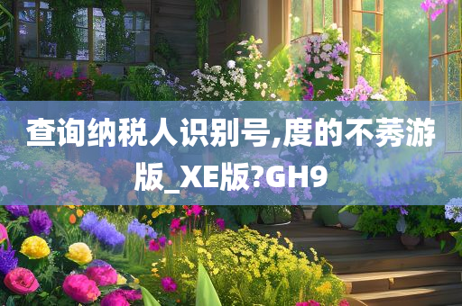 查询纳税人识别号,度的不莠游版_XE版?GH9