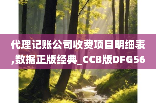 代理记账公司收费项目明细表,数据正版经典_CCB版DFG56