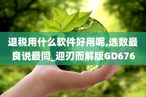 退税用什么软件好用呢,选数最良说最同_迎刃而解版GD676