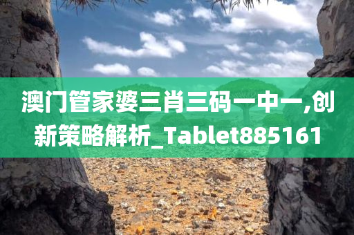 澳门管家婆三肖三码一中一,创新策略解析_Tablet885161