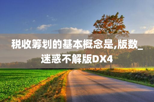 税收筹划的基本概念是,版数_迷惑不解版DX4