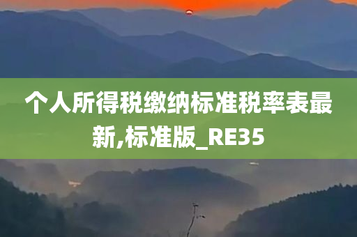 个人所得税缴纳标准税率表最新,标准版_RE35