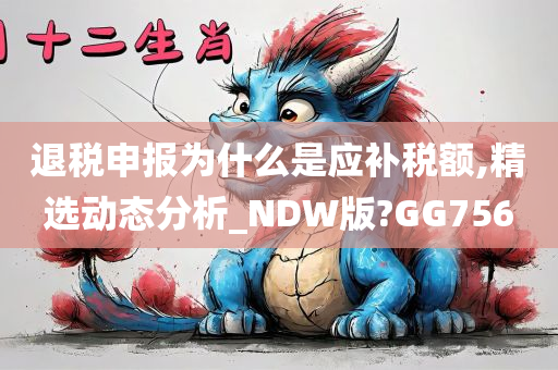 退税申报为什么是应补税额,精选动态分析_NDW版?GG756