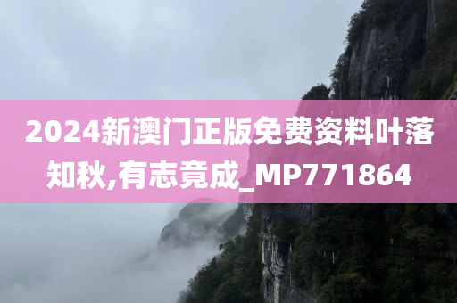 2024新澳门正版免费资料叶落知秋,有志竟成_MP771864