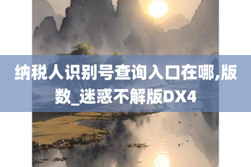 纳税人识别号查询入口在哪,版数_迷惑不解版DX4