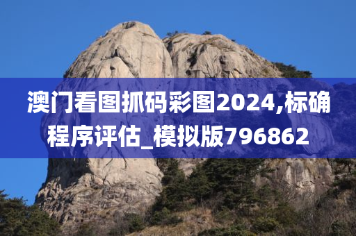 澳门看图抓码彩图2024,标确程序评估_模拟版796862