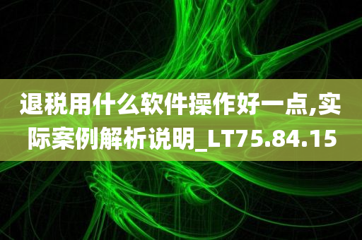 退税用什么软件操作好一点,实际案例解析说明_LT75.84.15