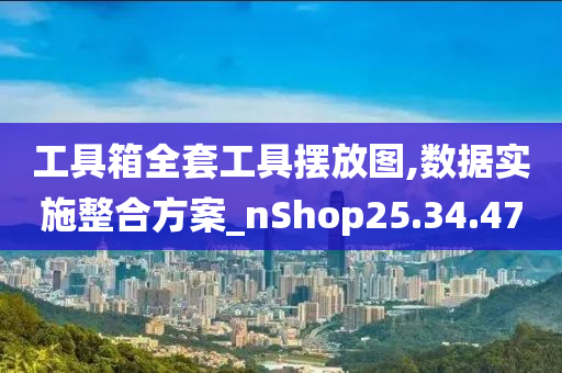 工具箱全套工具摆放图,数据实施整合方案_nShop25.34.47