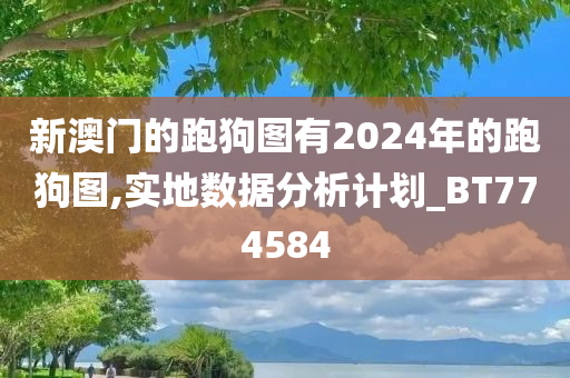 新澳门的跑狗图有2024年的跑狗图,实地数据分析计划_BT774584