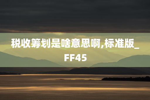 税收筹划是啥意思啊,标准版_FF45